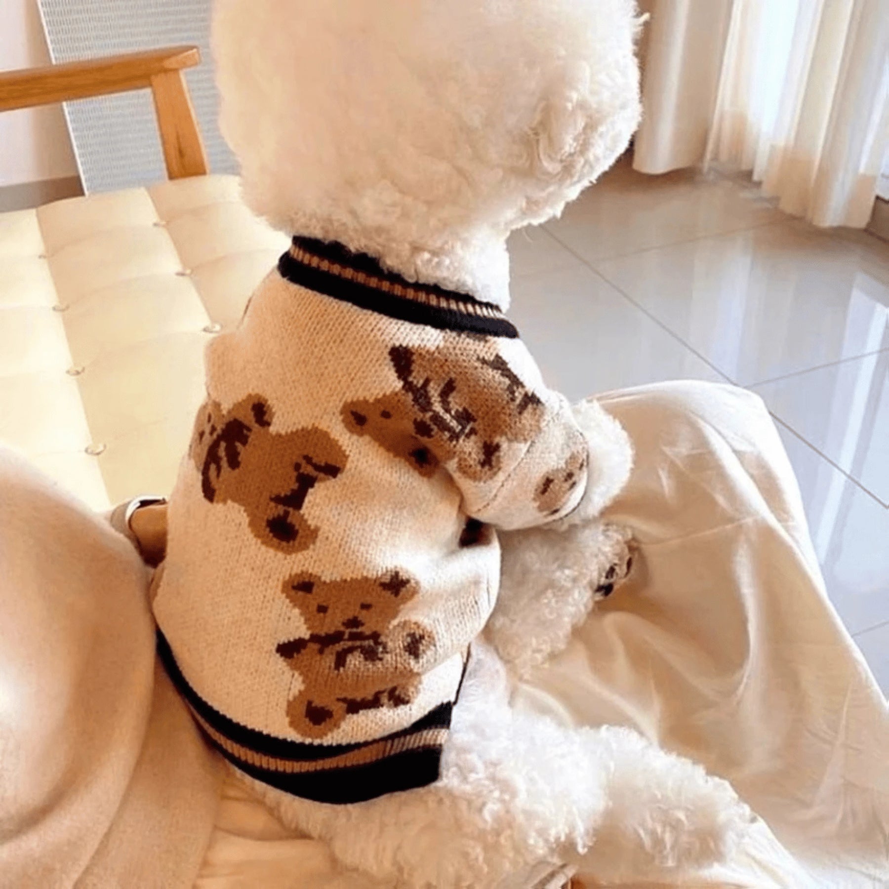 Cardigan Luxuoso Para Pet - SnoopyLuxe