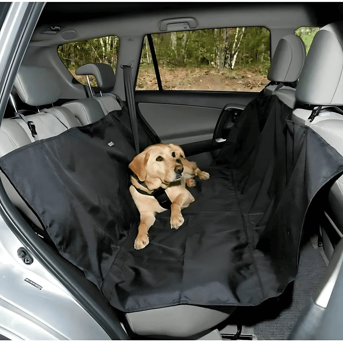Capa Impermeável Para Carro - SnoopySeat